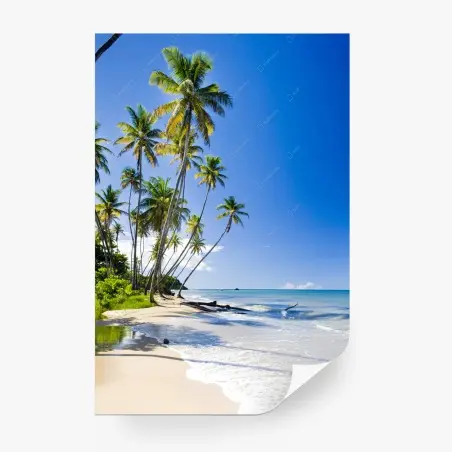 Fotomural refugio de palmeras junto al mar – Pixers®