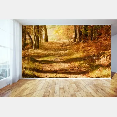 Fotomural sendero otoñal entre árboles – Pixers®