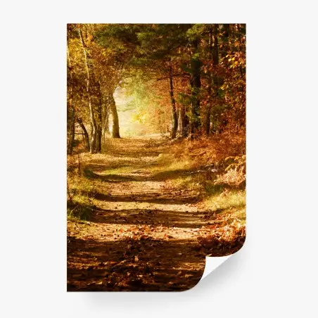 Fotomural sendero otoñal entre árboles – Pixers®