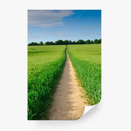 Fotomural camino entre campos verdes al horizonte – Pixers®