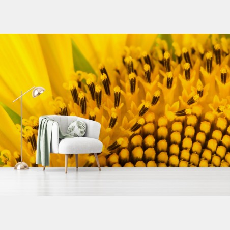Fotomural girasol en primer plano – Pixers®