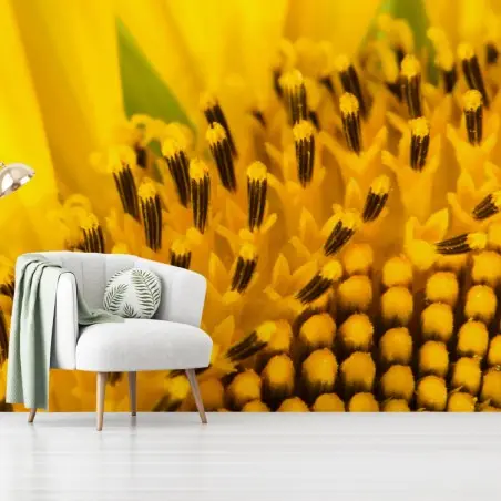 Fotomural girasol en primer plano