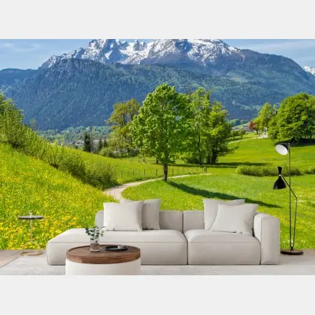Fotomural paisaje alpino con sendero entre prados floridos y picos nevados – Pixers®