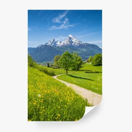 Fotomural paisaje alpino con sendero entre prados floridos y picos nevados – Pixers®