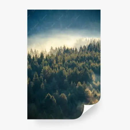 Fotomural bosque de pinos en la niebla – Pixers®
