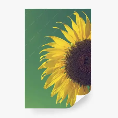 Fotomural girasol retro sobre cielo azul – Pixers®