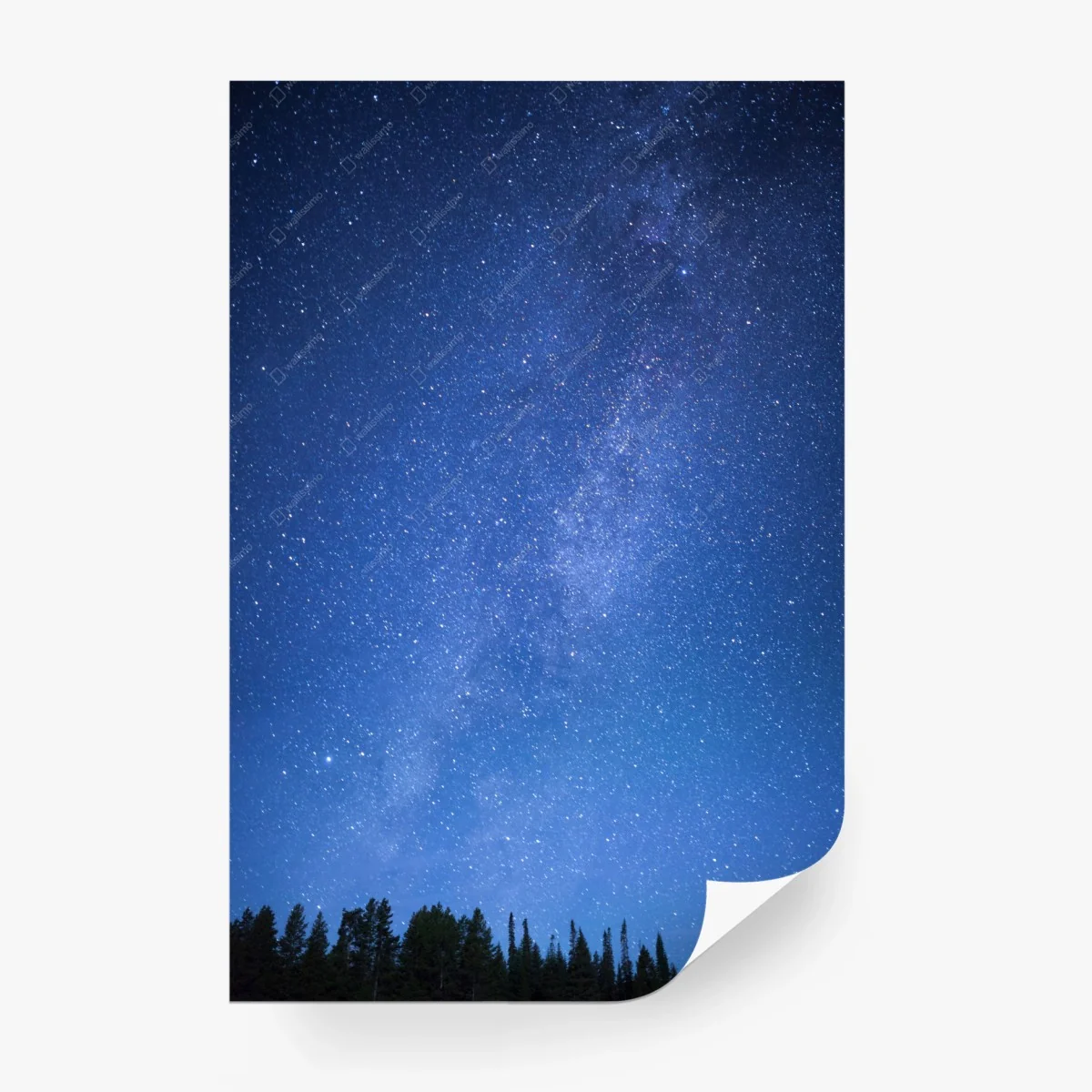 Fotomural cielo estrellado sobre el bosque – Pixers®