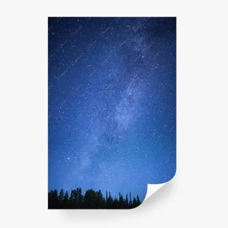 Fotomural cielo estrellado sobre el bosque – Pixers®