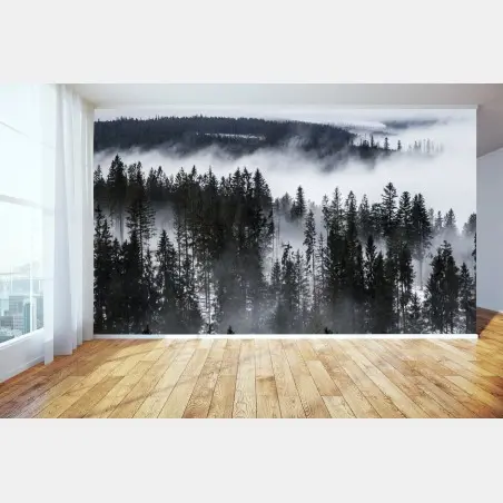 Fotomural silencio invernal en las montañas Tatra – Pixers®