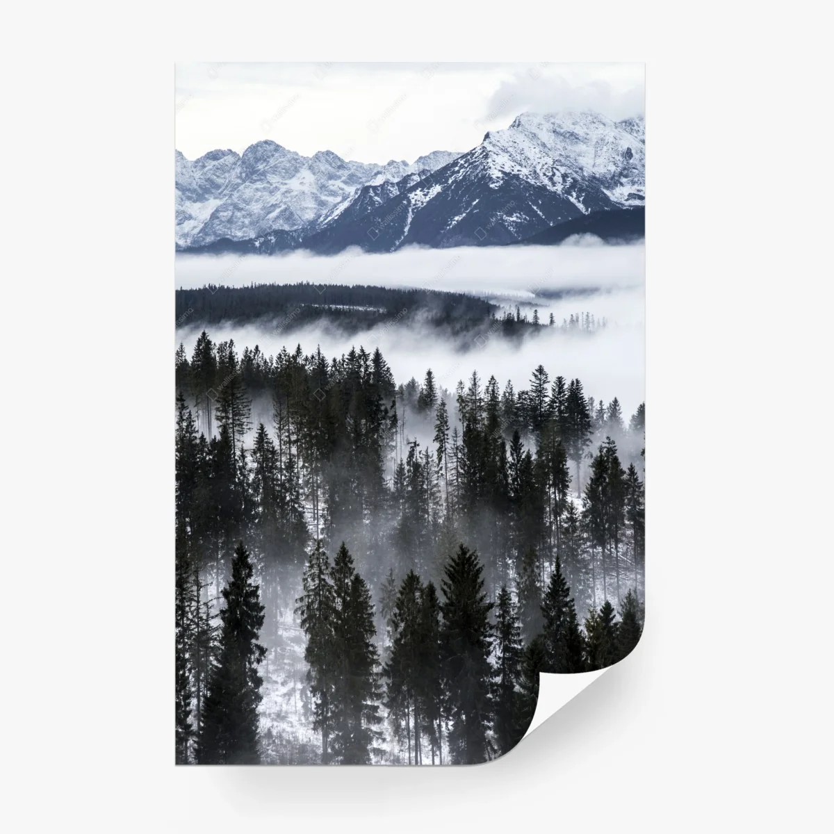 Fotomural silencio invernal en las montañas Tatra – Pixers®