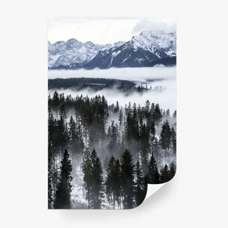 Fotomural silencio invernal en las montañas Tatra – Pixers®