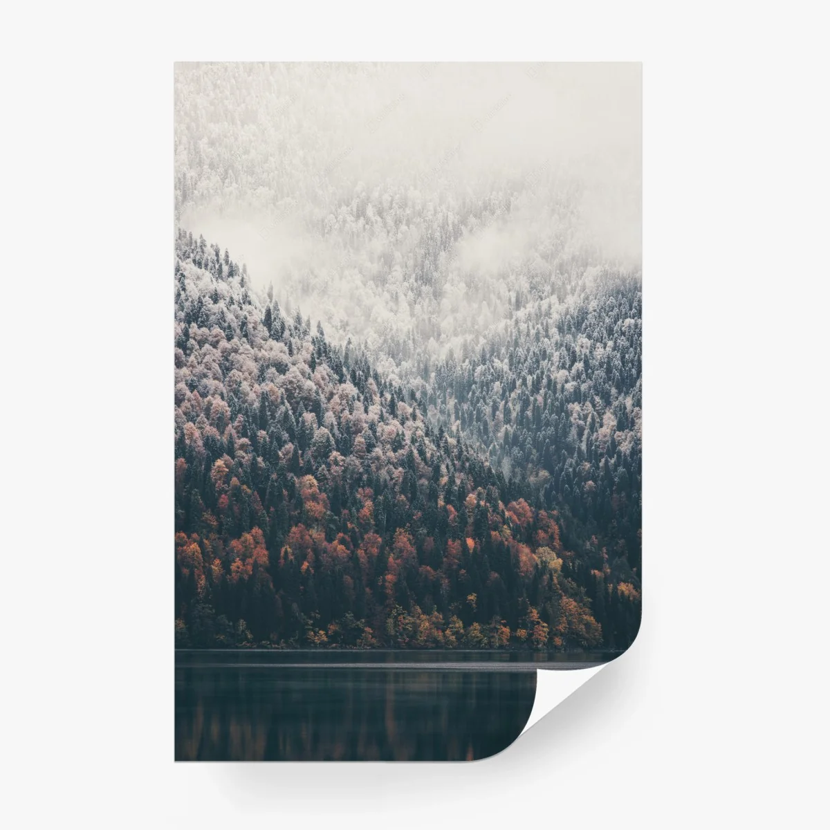 Fotomural bosque otoñal y montaña nevada junto al lago – Pixers®