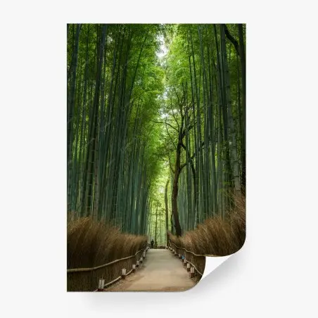 Fotomural sendero en bosque de bambú – Pixers®