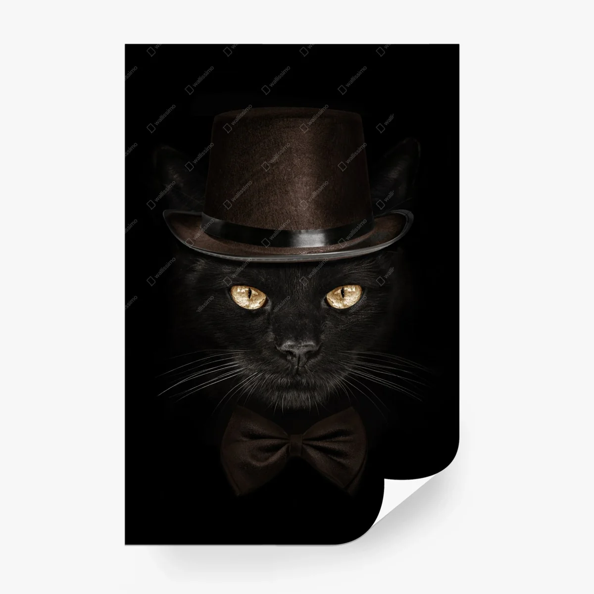 Fotomural gato elegante con sombrero de copa y pajarita – Pixers® Fotomural gato elegante con sombrero de copa y pajarita – Pixers®
