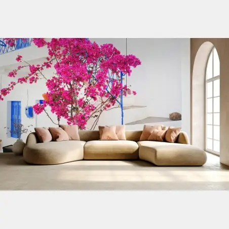 Fotomural fachada blanca con buganvilla fucsia y ventanas azules – Pixers®