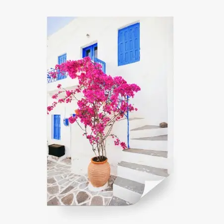Fotomural fachada blanca con buganvilla fucsia y ventanas azules – Pixers®