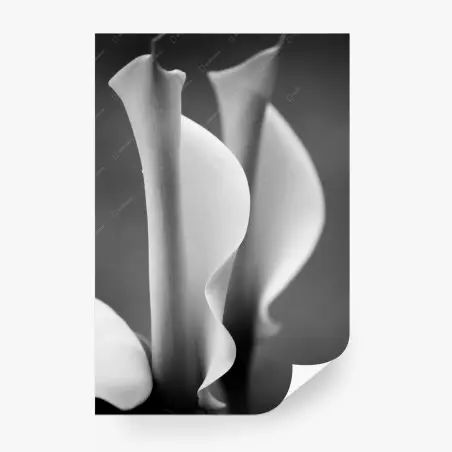 Fotomural calas minimalistas en blanco y negro – Pixers®