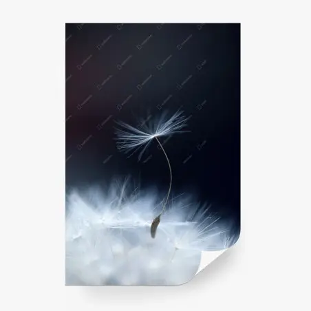 Fotomural susurro etéreo de diente de león – Pixers®