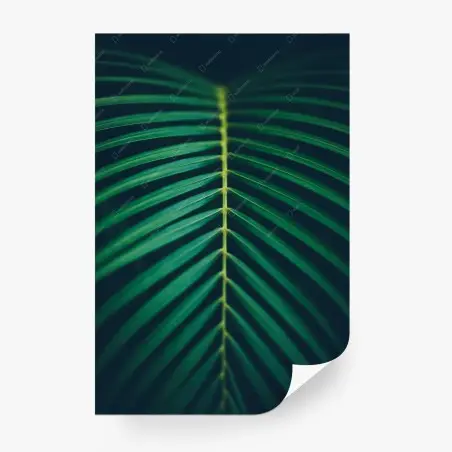 Fotomural hoja de palma vertical minimalista – Pixers®