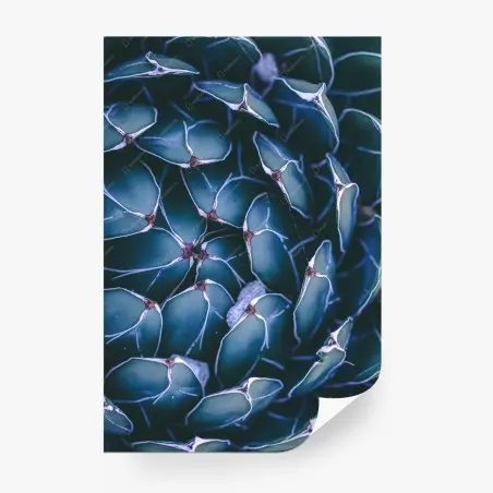 Fotomural suculenta geométrica en tonos azulados – Pixers®