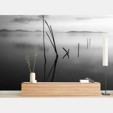 Fotomural paisaje minimalista en blanco y negro – Pixers®