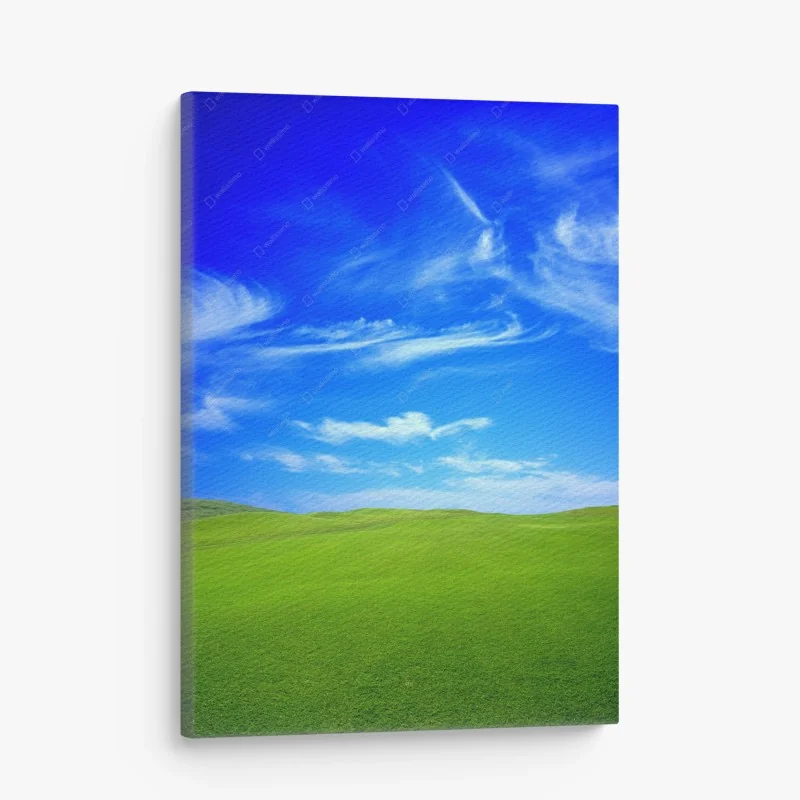 Cuadro en lienzo paisaje sereno de pradera y cielo azul