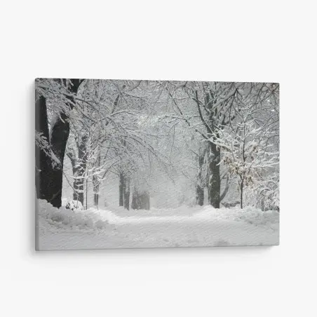 Cuadro en lienzo camino nevado entre árboles – Pixers®