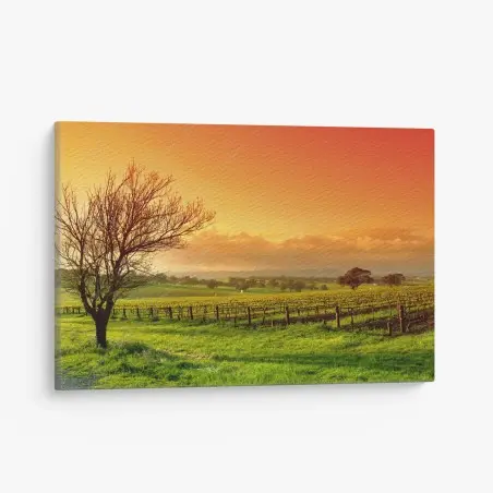 Cuadro en lienzo amanecer dorado en el viñedo – Pixers®