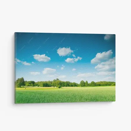 Cuadro en lienzo pradera serena bajo cielo azul – Pixers®