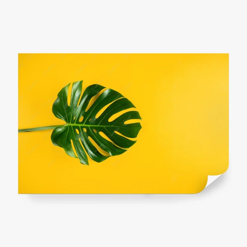 Fotomural hoja de monstera sobre fondo amarillo vibrante