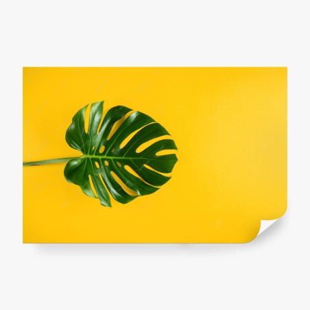 Fotomural hoja de monstera sobre fondo amarillo vibrante – Pixers®