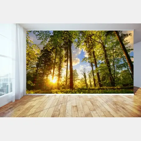 Fotomural sendero dorado en el bosque – Pixers®