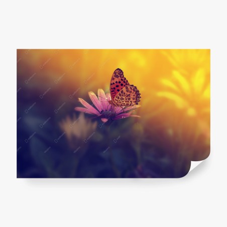 Fotomural mariposa al atardecer sobre flor – Pixers®