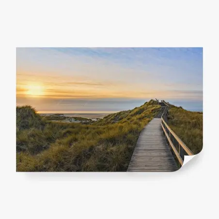 Fotomural pasarela hacia el mar en Amrum – Pixers®
