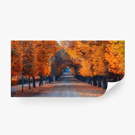 Fotomural avenida otoñal de hojas naranjas – Pixers®