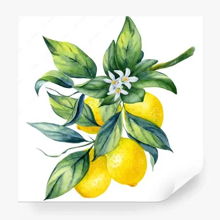 Fotomural ramo de limones en acuarela – Pixers®