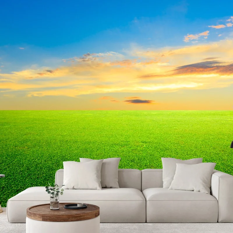 Fotomural atardecer sobre pradera verde