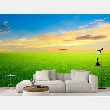 Fotomural atardecer sobre pradera verde – Pixers®