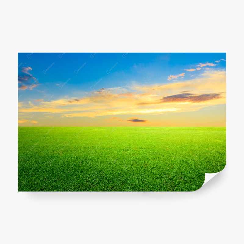 Fotomural atardecer sobre pradera verde