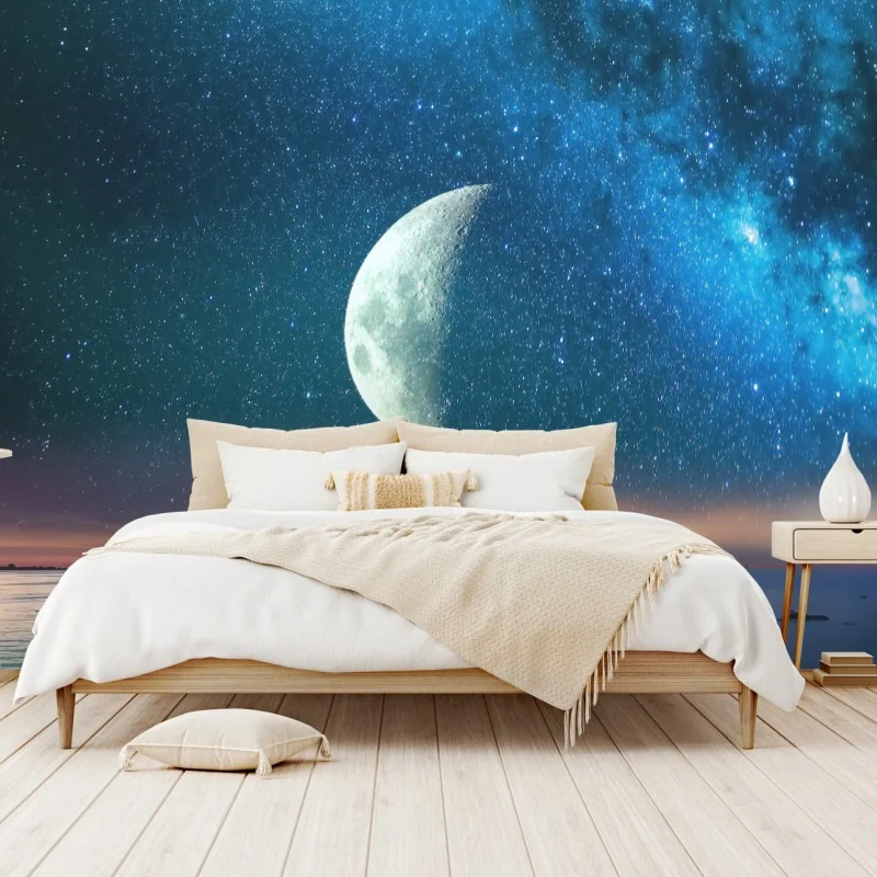 Fotomural paisaje lunar sobre el mar estrellado