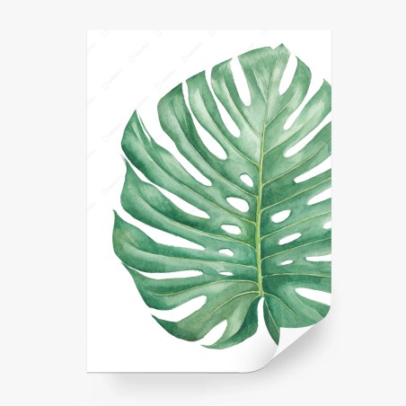 Fotomural hoja de monstera en acuarela – Pixers®