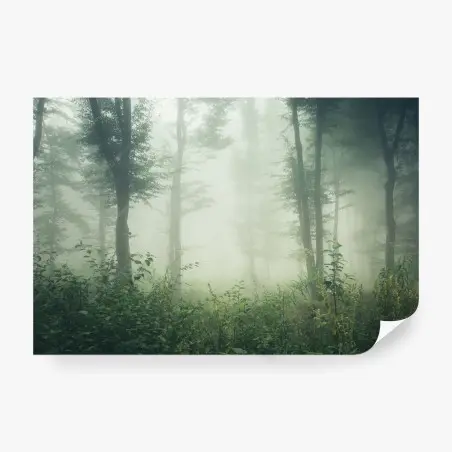 Fotomural bosque entre la niebla serena – Pixers®