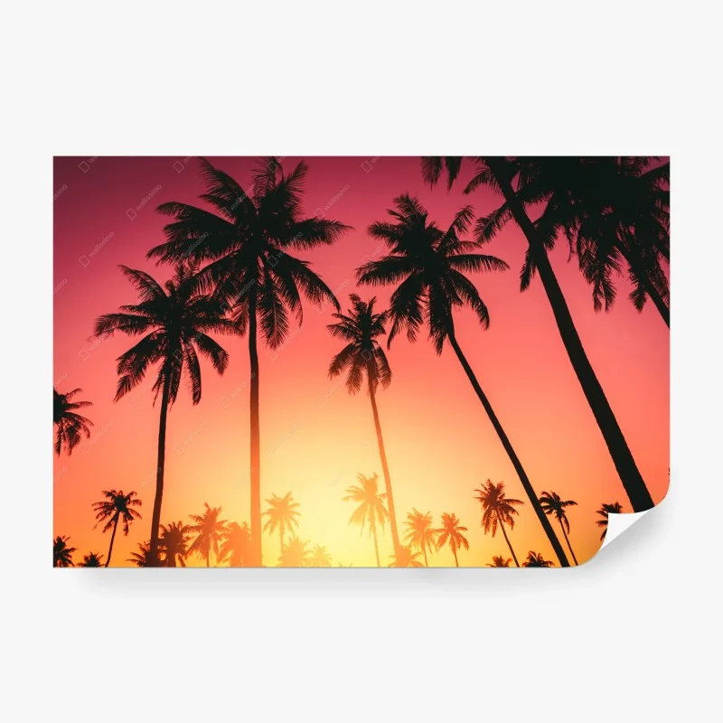 Fotomural atardecer tropical con palmeras en silueta