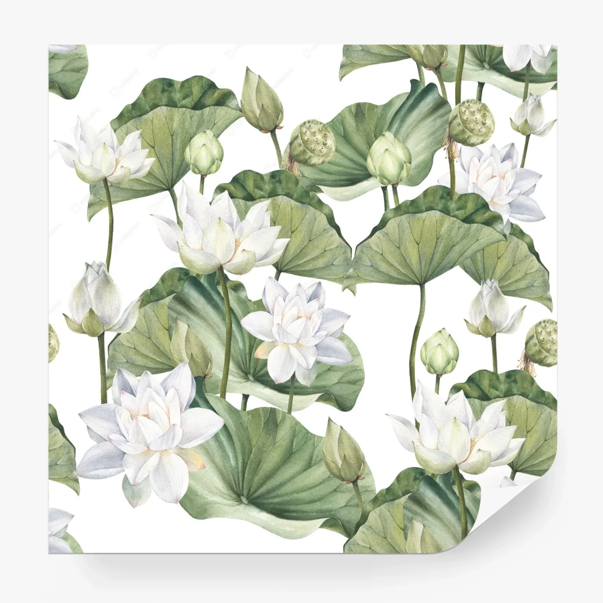 Fotomural loto blanco en acuarela para decoración – Pixers® Fotomural loto blanco en acuarela para decoración – Pixers®