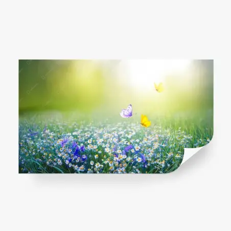 Fotomural pradera de margaritas y mariposas al amanecer – Pixers®