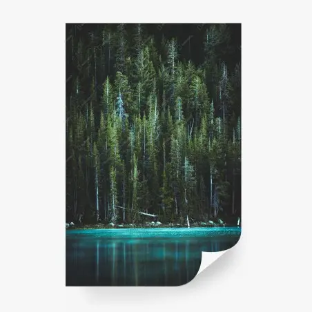 Fotomural bosque de coníferas junto al lago turquesa – Pixers®