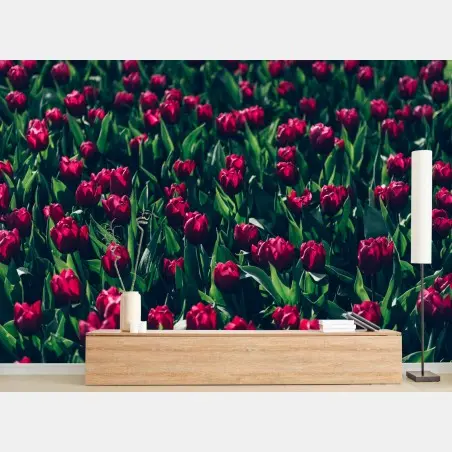 Fotomural campo de tulipanes rojos – Pixers®