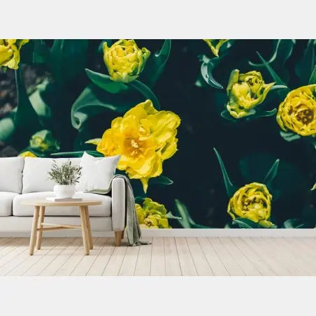 Fotomural jardín de tulipanes amarillos sobre fondo oscuro – Pixers®