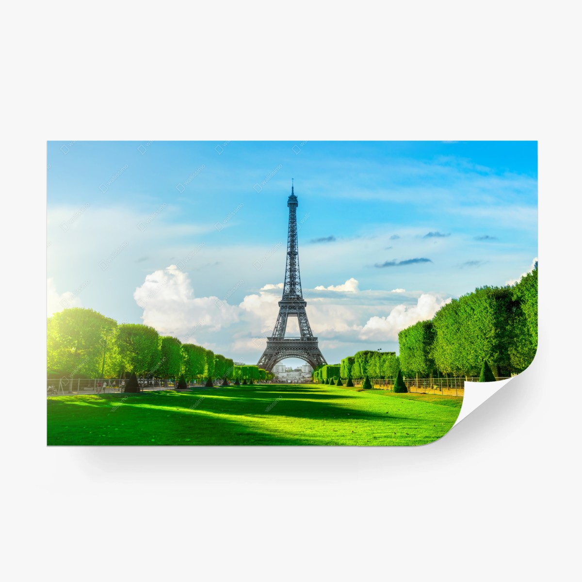 Fotomural vistas de la Torre Eiffel en París – Pixers®