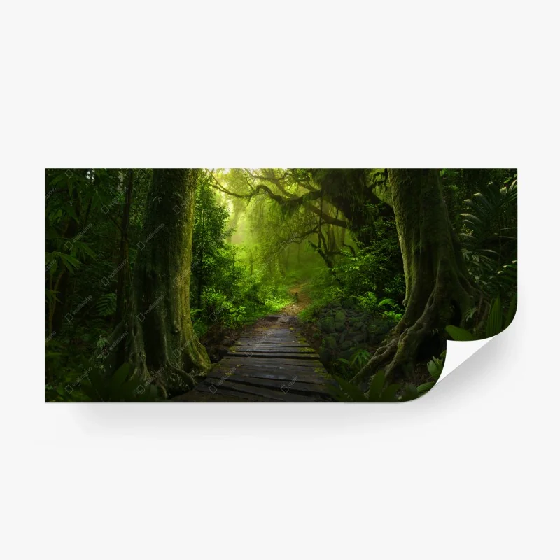 Fotomural sendero místico en la selva esmeralda